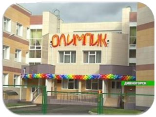 Муниципальное автономное дошкольное образовательное учреждение детский сад № 17 «Олимпик»